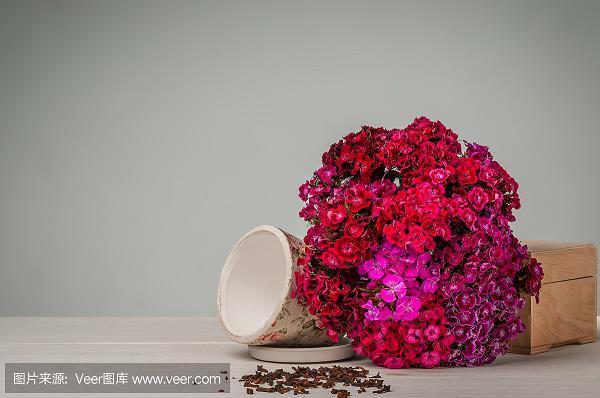 十清九浊