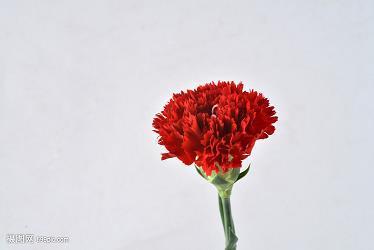 儿行千里母担忧