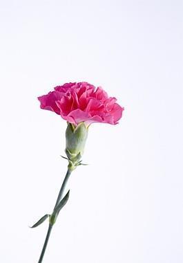 婴城自保