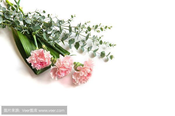 喔咿儒儿