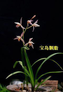 感深肺腑