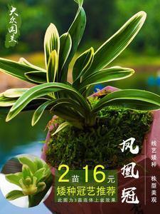 四书五经