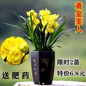力争上游
