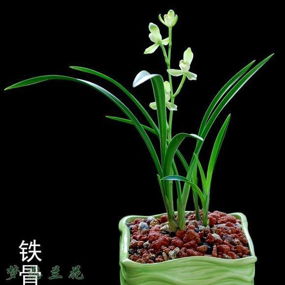 锺鼎山林