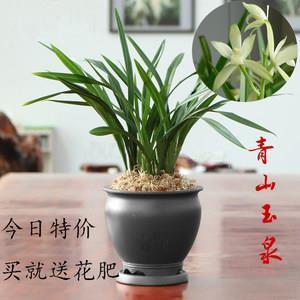 杯酒释兵权