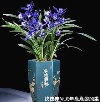 潜光匿曜