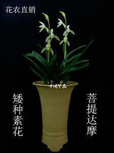 进贤用能