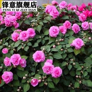 因敌为资