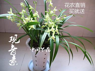 智足以拒谏，言足以饰非