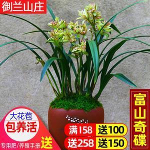 狂吠狴犴