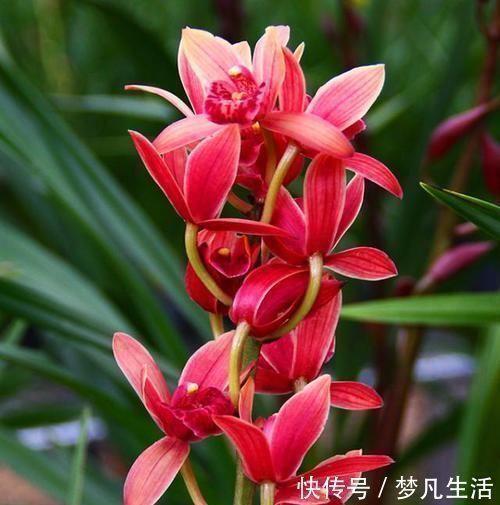心怀鬼胎