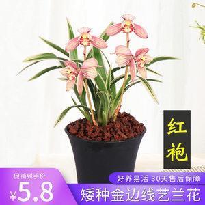 众所瞩目