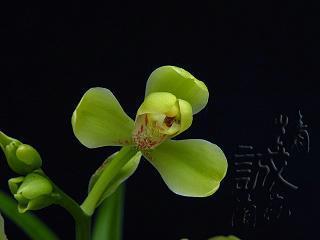 对号入座