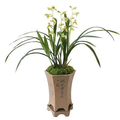 米珠薪桂