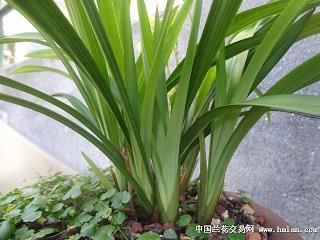 熟能生巧