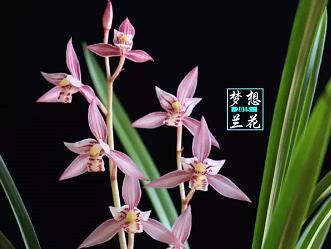 破镜重合