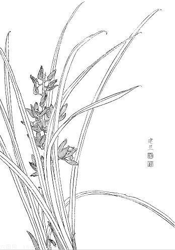 抖抖瑟瑟