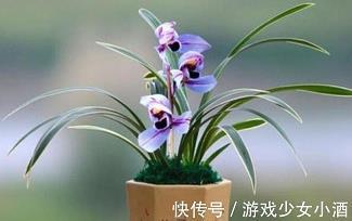 劳苦功高