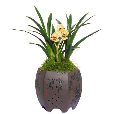 波涛滚滚