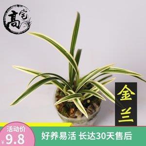 牝鸡牡鸣