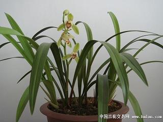 首尾两端