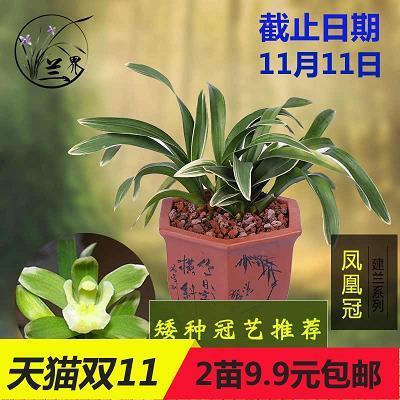 箫韶九成