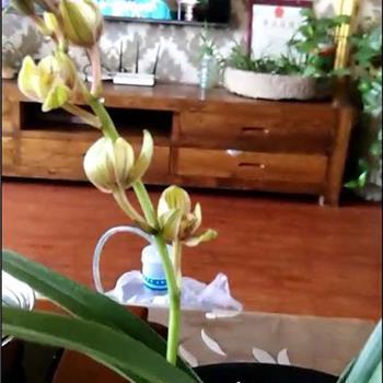 敬老爱幼