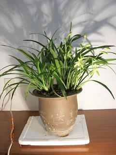 不可胜道