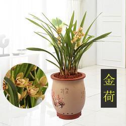口吐珠玑