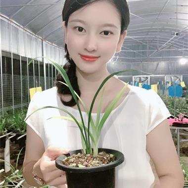 空腹高心