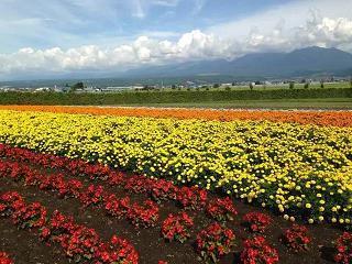 推贤逊能