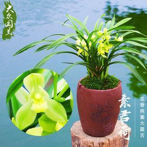 视同拱璧