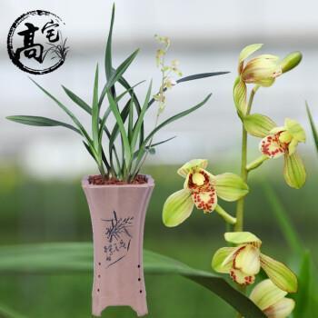 破斧缺斨
