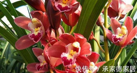 毫分缕析
