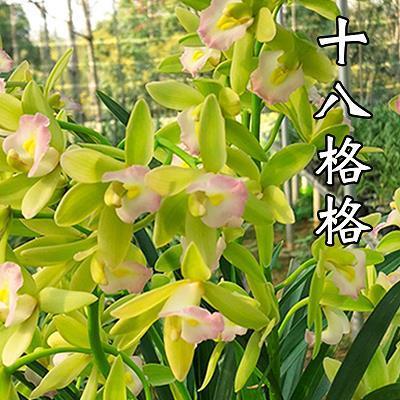 弃之度外