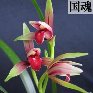 拈轻怕重