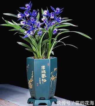 察今知古