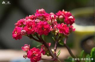 多嘴饶舌