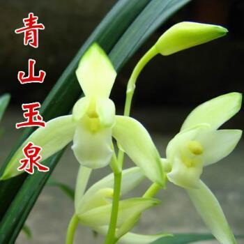 骆驿不绝