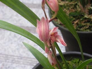 为时过早