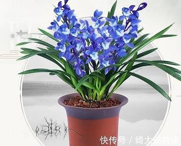 qq微信说说心情短句