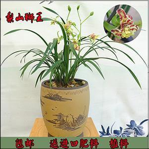 埋名隐姓