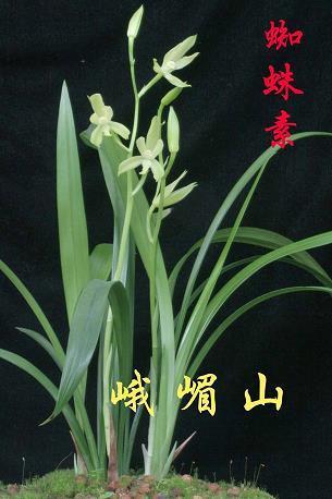 弃甲丢盔