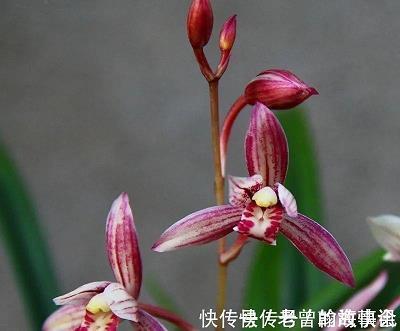 吃自在饭