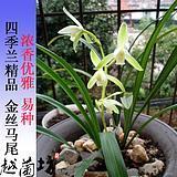 信笔涂鸦