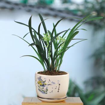 金相玉式