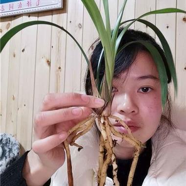 由近及远