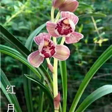 谦虚敬慎