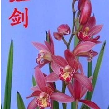 一丁点儿