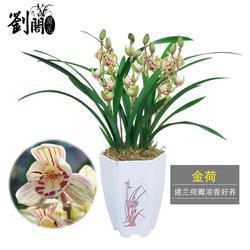 山长水远